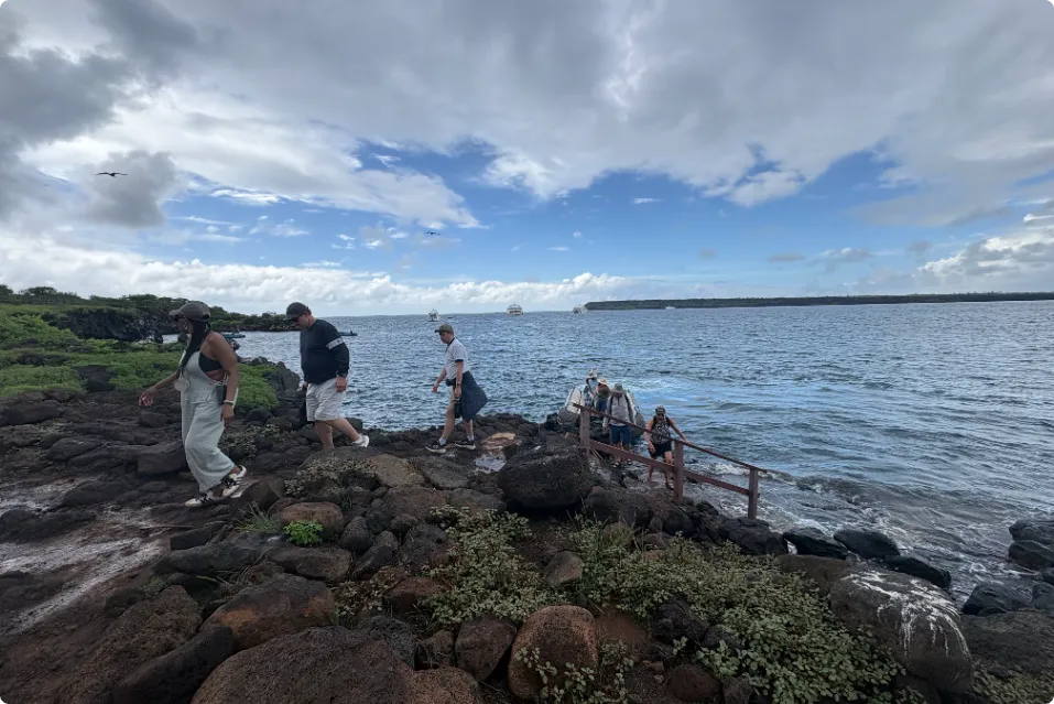 Iguanas marinas en la costa de Isla Seymour Norte, Galápagos